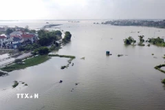 Do ảnh hưởng của cơn bão số 10, mực nước trên sông Lô và sông Phó Đáy dâng cao gây ngập lụt khu vực lớn tại địa bàn xã Sơn Đông tỉnh Phú Thọ. (Ảnh: Hoàng Hùng/TTXVN)