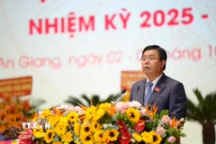 Ủy viên BCH Trung ương Đảng, Bí thư Tỉnh ủy An Giang Nguyễn Tiến Hải phát biểu tại Đại hội. (Ảnh: Văn Sĩ/TTXVN)