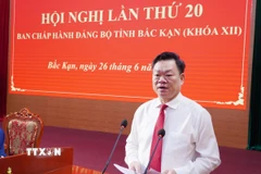 Ủy viên Ban Chấp hành Trung ương Đảng, Bí thư Tỉnh ủy Bắc Kạn Hoàng Duy Chinh phát biểu tại hội nghị. (Ảnh: Nguyễn Công Hải/TTXVN)