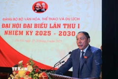 Ủy viên Trung ương Đảng, Ủy viên Ban thường vụ Đảng ủy Chính phủ, Bí thư Đảng ủy, Bộ trưởng Bộ VH,TT&DL Nguyễn Văn Hùng phát biểu. (Ảnh: Hoàng Hiếu/TTXVN)