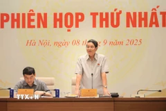 Phó Chủ tịch Quốc hội Nguyễn Đức Hải, Ủy viên Hội đồng bầu cử quốc gia, trưởng Tiểu ban Thông tin tuyên truyền Hội đồng bầu cử quốc gia phát biểu. (Ảnh: An Đăng/TTXVN)