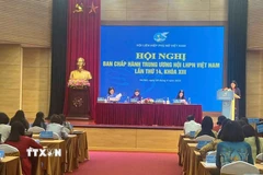 Quang cảnh hội nghị. (Ảnh: TTXVN phát)