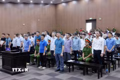 Các bị cáo tại phiên tòa xét xử. (Ảnh: Phạm Kiên/TTXVN)