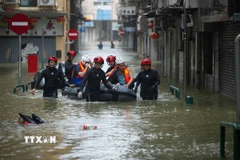 Sức tàn phá khủng khiếp của siêu bão Ragasa: Hong Kong tê liệt, Đài Loan thương vong tăng