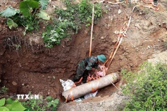 Ảnh minh họa. (Ảnh: Thanh Hải/TTXVN)