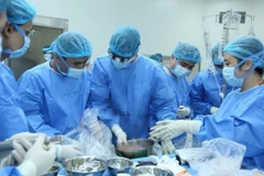 Êkíp tiến hành lấy gan người hiến tại Bệnh viện E. (Nguồn: Báo Nhân Dân)