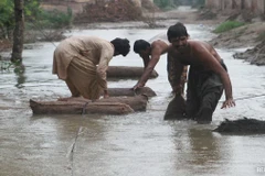 Lũ lụt đã nhấn chìm hơn 4.500 ngôi làng, ảnh hưởng đến hơn 4,4 triệu người ở tỉnh Punjab. (Nguồn: Reuters)