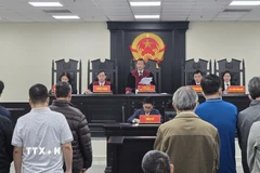 Hội đồng xét xử công bố bản án sơ thẩm. (Ảnh: Kim Anh/TTXVN)