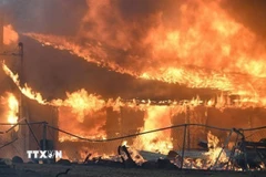 Khói lửa bốc ngùn ngụt từ đám cháy rừng tại Chico, California, ngày 25/7/2024. (Ảnh: Getty Images/TTXVN)