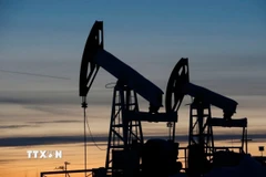 Các máy bơm dầu tại giếng dầu Imilorskoye ở Kogalym, vùng Siberi, Nga. (Ảnh: Reuters/TTXVN)