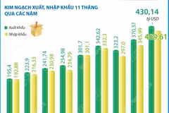 11 tháng năm 2025: Kim ngạch xuất, nhập khẩu hàng hóa tăng 17,2%