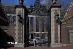 Khuôn viên Trường Đại học Harvard ở Cambridge, Massachusetts, Mỹ ngày 15/4/2025. (Ảnh: Reuters/TTXVN)