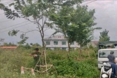 Khu vực phát hiện sự việc. (Ảnh: Báo Quảng Ngãi)