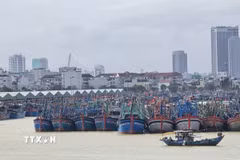 Tàu thuyền neo đậu tại âu thuyền Thọ Quang (phường Sơn Trà, thành phố Đà Nẵng) để tránh trú bão. (Ảnh: Khoa Chương/TTXVN)
