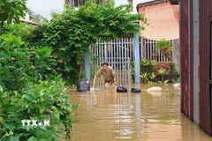 Triều cường dâng cao gây ngập nhiều nhà cửa ở Vĩnh Long. (Ảnh: Phúc Sơn/TTXVN)