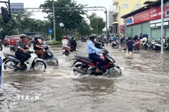 Triều cường dâng cao trên đường Phạm Hữu Lầu, Thành phố Hồ Chí Minh sáng 6/11/2025. (Ảnh: Hương Giang/TTXVN)