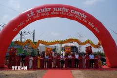 Lãnh đạo tỉnh Đồng Nai phát lệnh xuất phát xe chở lô hàng chuối tươi xuất khẩu. (Ảnh: Lê Xuân/TTXVN)