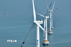 Các tuabin gió ở ngoài khơi tỉnh Phúc Kiến, Trung Quốc. (Ảnh: THX/TTXVN)
