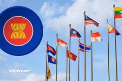 (Ảnh: Vietnam+)
