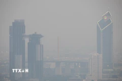 Ô nhiễm không khí nghiêm trọng tại Bangkok, Thái Lan. (Ảnh: THX/TTXVN)