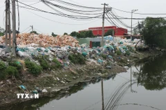 Rác thải nhựa của thôn Minh Khai được tập kết ngay cạnh bờ sông, gây ô nhiễm nghiêm trọng môi trường nguồn nước. (Ảnh: Mạnh Khánh/TTXVN)