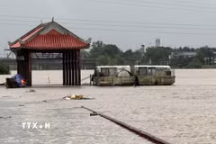 Bến Thả hoa bờ Nam sông Thạch Hãn, thị xã Quảng Trị ngập sâu trong nước. (Ảnh: Thanh Thủy/TTXVN)