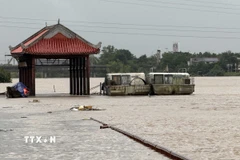 Bến Thả hoa bờ Nam sông Thạch Hãn, thị xã Quảng Trị ngập sâu trong nước. (Ảnh: Thanh Thủy/TTXVN)