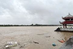 Lũ trên sông Thạch Hãn, đoạn qua Thị xã Quảng Trị lên nhanh. (Ảnh: Thanh Thuỷ/TTXVN)