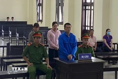 Bị cáo Lê Minh Luân bị tuyên phạt 20 năm tù vì tham ô tài sản của ngân hàng thương mại ở Cần Giuộc, Long An. (Ảnh: TTXVN phát)