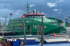 Tàu Mai Linh Express neo đậu tại bến Ninh Kiều, thành phố Cần Thơ. (Ảnh: TTXVN phát)