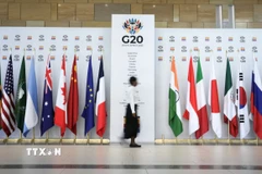 Quốc kỳ các quốc gia thành viên Nhóm G20 tại Hội nghị Bộ trưởng Tài chính và Thống đốc ngân hàng trung ương G20 tại Cape Town, Nam Phi. (Ảnh: Reuters/TTXVN)