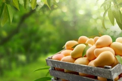 (Ảnh: iStock)