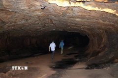 Các nhà khảo sát Viện Sinh học Nhiệt đới và Hội hang động Berlin (Cộng hòa Liên bang Đức) đã nghiên cứu khảo sát tổng cộng 11 ống hang dung nham với tổng chiều dài 1,8km. (Ảnh: Sỹ Tuyên/TTXVN)