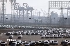 Xe ôtô nhập khẩu chờ bốc dỡ tại cảng Long Beach, California, Mỹ. (Ảnh: AFP/TTXVN)