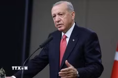 Tổng thống Thổ Nhĩ Kỳ Recep Tayyip Erdogan. (Ảnh: IRNA/TTXVN)