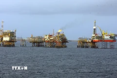 Một giàn khoan của Vietsovpetro tại mỏ Bạch Hổ. (Ảnh: Huy Hùng/TTXVN)