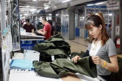 May hàng xuất khẩu sang thị trường EU tại Công ty May TNG (Thái Nguyên). (Ảnh: Trần Việt/TTXVN)