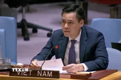 Đại sứ Đặng Hoàng Giang, Trưởng Phái đoàn Thường trực Việt Nam tại LHQ. (Ảnh: Hoài Thanh/TTXVN)