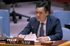 Đại sứ Đặng Hoàng Giang, Trưởng Phái đoàn Thường trực Việt Nam tại LHQ. (Ảnh: Hoài Thanh/TTXVN)
