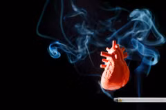 Hút thuốc lá là một yếu tố nguy cơ lớn dẫn đến bệnh tim mạch. (Nguồn: Shutterstock)