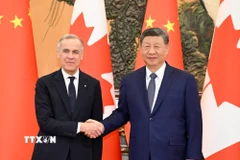 Thủ tướng Canada Mark Carney (trái) và Chủ tịch Trung Quốc Tập Cận Bình tại cuộc hội đàm ở Bắc Kinh ngày 16/1/2026. (Ảnh: THX/TTXVN)