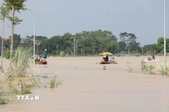 Do tuyến đường bị ngập sâu trong nước nhiều người dân xã Sơn Đông đã phải dùng thuyền để di chuyển, gây khó khăn trong việc đi lại của người dân. (Ảnh: Tạ Toàn/TTXVN)