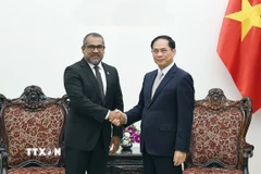 Phó Thủ tướng Bùi Thanh Sơn tiếp Bộ trưởng Ngoại giao Maldives Abdulla Khaleel. (Ảnh: An Đăng/TTXVN)