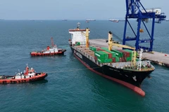 Tàu chở 4 container chứa rác thải điện tử nguy hại trả về Mỹ tại cảng Batu Ampar ở Batam, quần đảo Riau, ngày 20/1. (Ảnh: thejakartapost)