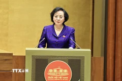 Bộ trưởng Bộ Nội vụ Phạm Thị Thanh Trà trình bày Tờ trình dự án Luật Viên chức (sửa đổi). (Ảnh: Minh Đức/TTXVN)