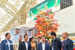 Các gian hàng cơ bản hoàn thành công tác chuẩn bị cho ngày khai mạc. (Ảnh: PV/Vietnam+)