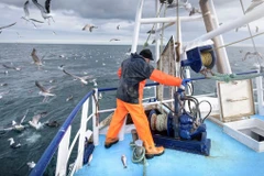 Ảnh minh họa. (Nguồn: Getty)