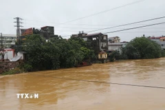 Nước sông Cầu lên cao. (Ảnh: Hoàng Nguyên/TTXVN)