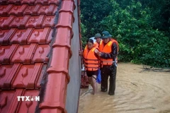 Cán bộ, chiến sỹ Lữ đoàn 409 và Bộ Chỉ huy quân sự tỉnh giúp nhân dân xã Xuân Lương di chuyển người và tài sản. (Ảnh: TTXVN phát)