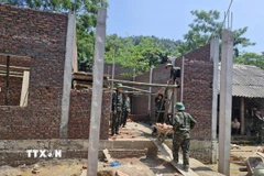 Lực lượng quân đội của Bộ Chỉ huy quân sự tỉnh Phú Thọ chung sức giúp đồng bào xóa nhà tạm, nhà dột nát tại xã Xuân Đài. (Ảnh: Đào An/TXVN)